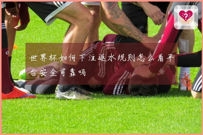 世界杯如何下注返水规则怎么看平台安全可靠吗
