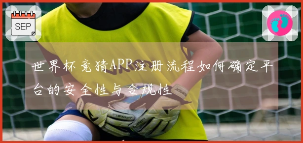 世界杯竞猜APP注册流程如何确定平台的安全性与合规性