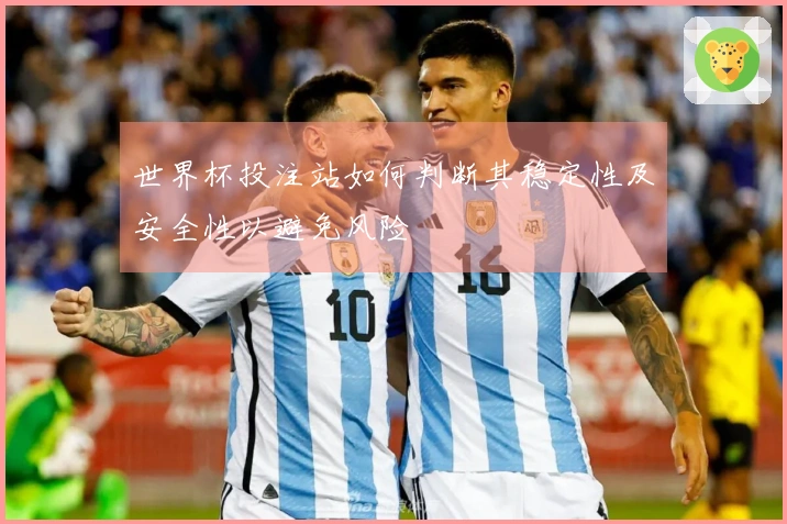世界杯投注站如何判断其稳定性及安全性以避免风险