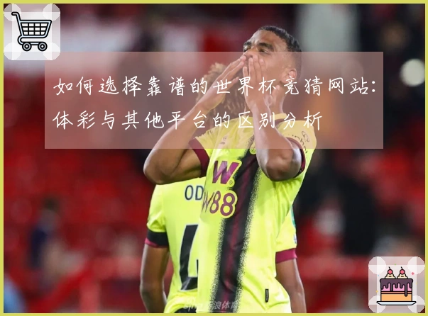 如何选择靠谱的世界杯竞猜网站：体彩与其他平台的区别分析