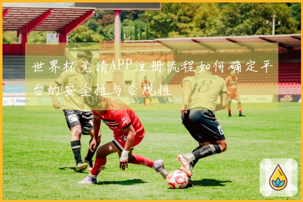 世界杯竞猜APP注册流程如何确定平台的安全性与合规性