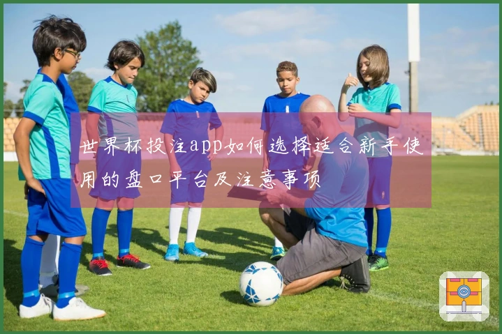 世界杯投注app如何选择适合新手使用的盘口平台及注意事项