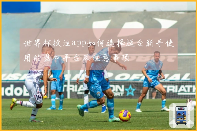世界杯投注app如何选择适合新手使用的盘口平台及注意事项
